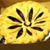 Jody Visner's profile image