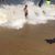 Joan Rickenbach's profile image