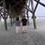 Anne Marie Feeney Charland's profile image
