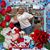 Becky Stultz's profile image