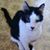 Linda Trudel's profile image