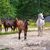 Theresa Sarno Necaise's profile image