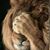 Lois Stockwell's profile image
