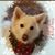 Brenda Baldree's profile image