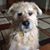 Alisa Myatt's profile image