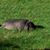 Denise Dietz's profile image