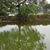 Md Saiful Islam's profile image