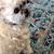 Marcela Barretto's profile image