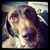 Kerry Lucas's profile image