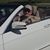 Daniel Fitzgerald's profile image