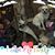 Debbie O'Rear-Robinson's profile image