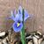 Stefanie Pepin's profile image