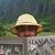 Brian O'Scanlon's profile image