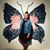 Elicia Allen's profile image