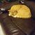 Eva Olivares's profile image