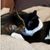 Katie Purnell's profile image