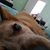 Jamie Mascarenas's profile image