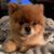 Maryann Payne's profile image