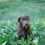 Lori Stevenson-Martin's profile image