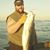 Charles Grenier's profile image