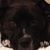 Jolene Levin Nowry's profile image
