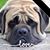 Tom Kinison's profile image