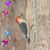 Donna Marie's profile image