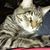 Salli Carmichael's profile image