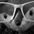 Christopher Michael Wolf's profile image