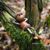 Kerri OBrien Beaulieu's profile image