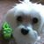 Brenda M. Landry's profile image