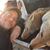Todd Knoblock's profile image