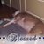 KenandTammy Johnson's profile image