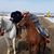 Marty Lundstrom's profile image