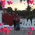 Pam Dummer's profile image