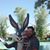 Wayne Timmermann's profile image