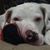 DaleLynne Iler's profile image