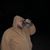 Ivan Vires's profile image