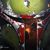 David Boyce's profile image