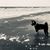 Patti Holma's profile image