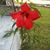 Cindy Mathes's profile image