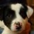 Jan Cox Vierck's profile image