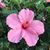 Cathy Partin's profile image