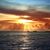 JoEllen Wright's profile image