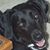 Donna Confer's profile image