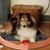 Martha Tracey Heckman's profile image