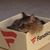 Lisa Huffman Cole's profile image