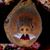 Robert Stuke Jr's profile image