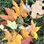 Abril Istre's profile image