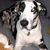 Beth Johnson Prest's profile image